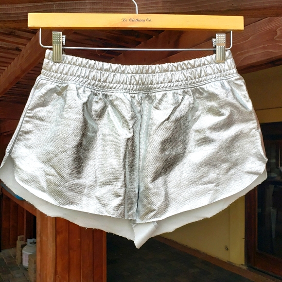 Forever 2 Silver Shiny Shorts 